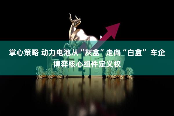 掌心策略 动力电池从“灰盒”走向“白盒” 车企博弈核心组件定义权